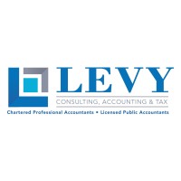 Levy Consulting Accounting and Tax PC logo - Similar company to Teamcfo Inc.