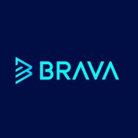Brava Systems logo - Similar company to Sdg Monitor