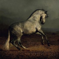 Aurelius Hospiltality Ltd logo - Similar company to Aurelius Family Office