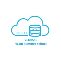 VLDB Summer School logo - Similar company to Vldb