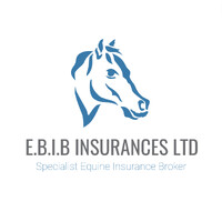 EBIB Insurances ltd logo - Similar company to Ucd Micro-Credentials