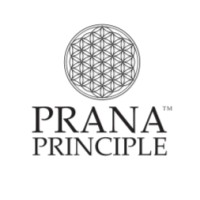 Prana Principle logo - Similar company to Apax Business Development