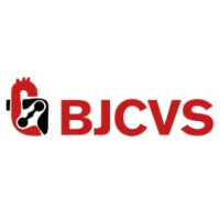 Brazilian Journal of Cardiovascular Surgery logo - Similar company to Umics - Unit For Minimal Invasive Cardiothoracic Surgery