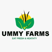 Ummy Farms logo - Similar company to Ummy Relief Foundation