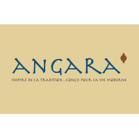 Angara logo - Similar company to Argon Measuring Solutions