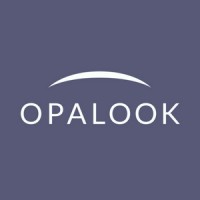 OPALOOK France logo - Similar company to Lexir