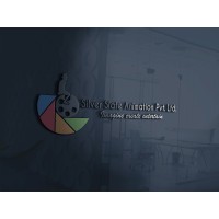 Silver Slate Animation Pvt. Ltd logo - Similar company to Excel Media