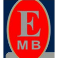 Energy Master Builders logo - Similar company to Brick Art Construction