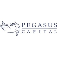 Pegasus Capital logo - Similar company to Gilini Group