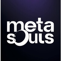 Metasouls logo - Similar company to Super Brains B.V.