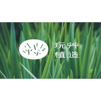 Wonder Greener logo - Similar company to Anor Technologies Pte Ltd