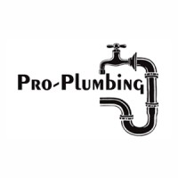Pro Plumbing logo - Similar company to The Luxury Lap