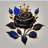 The Black Rose Collective logo - Similar company to Health Care Apprenticeship Consortium