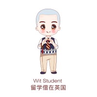 Liuxueseng in UK Ltd T/A Wit Student logo - Similar company to Nettours Limited