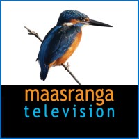 Maasranga Television logo - Similar company to Asian Media And Entertainment