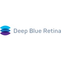 Deep Blue Retina logo - Similar company to Southern Foundation Fhc