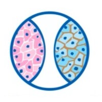 Instituto de Anatomia Patológica (IAP) logo - Similar company to Biogenar
