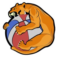Jogja Jaguars logo - Similar company to Zharkwave