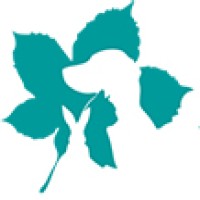Abington Park Vet Referrals logo - Similar company to Avonvale Veterinary Centres