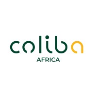 COLIBA AFRICA logo - Similar company to Africharger