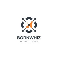 BornWhiz Technologies logo - Similar company to Lider Technology Solutions Pvt Ltd
