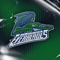 Florida Everblades Professional Hockey Club logo - Similar company to Rapid City Rush