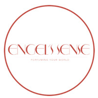 Engel's Sense logo - Similar company to Oneteam