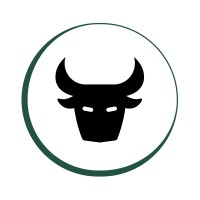 Bulls Agency logo - Similar company to Webline Promotion