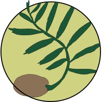 Macrozamia Environmental logo - Similar company to Picaluna