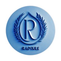 Radixile Technology Solutions logo - Similar company to Vbm India