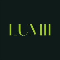 Lumii LLC logo - Similar company to Kazamind