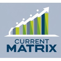 Current matrix logo - Similar company to Visionedge Corp