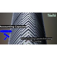 Accounting Capsules logo - Similar company to Experts Consultants For Accounting & Auditing