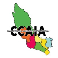 Cámara de Comercio Agricultura e Industria de Amazonas logo - Similar company to Cámara De Comercio - Ayacucho