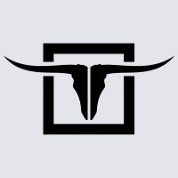 Burrows Capital Advisors, LLC logo - Similar company to Silver Lion
