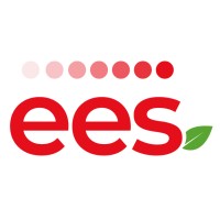 EES Ingeniería logo - Similar company to Kurte Consulting Perú