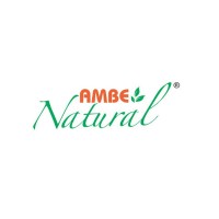 Ambe NS Agro Products Pvt. Ltd. logo - Similar company to Haldivita