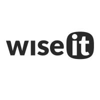 WISE IT LLC logo - Similar company to Databank Srl