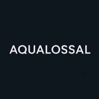 Aqualossal logo - Similar company to Elevation Athletics