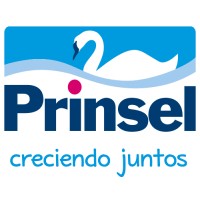 Productos Infantiles Selectos, S.A. de C.V. logo - Similar company to Detector Exploraciones