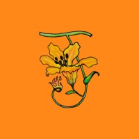 Junoon Magazine logo - Similar company to Swift - Sustaining Women In Financial Turmoil