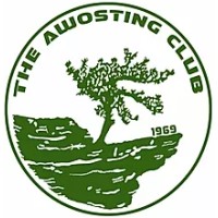 The Awosting Club logo - Similar company to Vikingdome