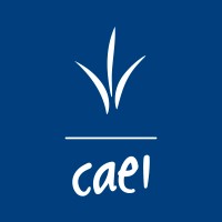 Consorcio Azucarero De Empresas Industriales Caei