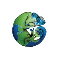 Cameleon Coaching logo - Similar company to Cameleon Coaching