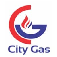 City Gas Nigeria Limited logo - Similar company to Ecanset - Learn, Build, Grow!
