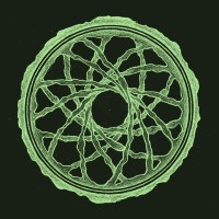 Treevas LLC logo - Similar company to Ajpm Focus