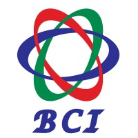 Business Care International logo - Similar company to International Ventures Group Llc