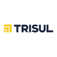 Trisul SA logo - Similar company to Dot Team
