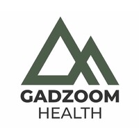 Gadzoom Health logo - Similar company to Togo Health