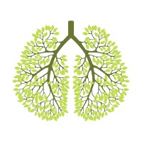 Art of Breathing logo - Similar company to Sofia Art Fair